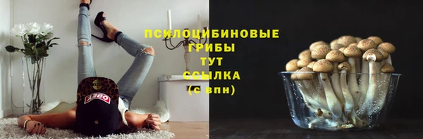 ешки Алексеевка
