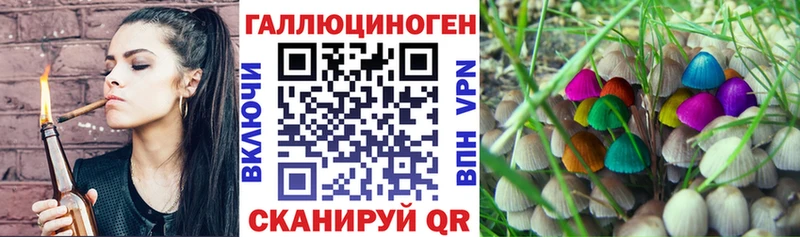 Галлюциногенные грибы Psilocybe  Нытва 